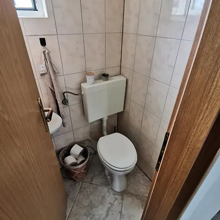 Ivo